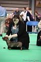 Crufts2011_2 792